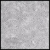HANDMADE LACE PAPER 226GSM WHITE WAVE 56 X 80CM PACKET OF 5