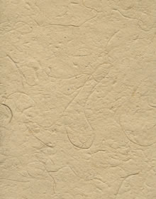Recycled Paper 100Gsm Phuket Beach 56 X 78Cm Packet Of 5