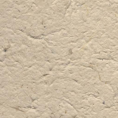 Recycled Paper 100Gsm Water Festival 56 X 78Cm Packet Of 5