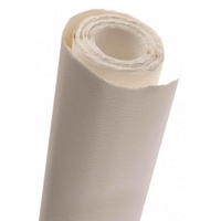 Arches Watercolour Rolls 300Gsm 1.13 X 9.14M Rough