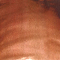 *Limited Stock* Archival Oil 40Ml Series 1 Burnt Sienna
