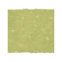 ART SPECTRUM SOFT SQUARE PASTEL (PACK OF 6) SAP GREEN A