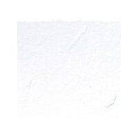 Art Spectrum Soft Square Pastel (Pack Of 6) Cool White A