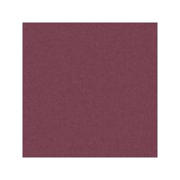 Art Spectrum Colourfix Pastels Burgundy Packet Of 6 Of One Colour