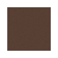 ART SPECTRUM COLOURFIX PASTELS BURNT UMBER PACKET OF 6 OF ONE COLOUR