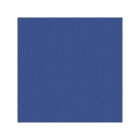 Art Spectrum Colourfix Pastels Deep Ultramarine Packet Of 6 Of One Colour