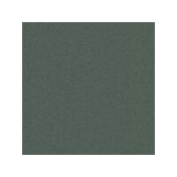 Art Spectrum Colourfix Pastels Leaf Green Dark Packet Of 6 Of One Colour