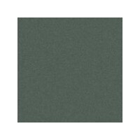 ART SPECTRUM COLOURFIX PASTELS LEAF GREEN DARK PACKET OF 6 OF ONE COLOUR