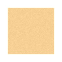 Art Spectrum Colourfix Pastels Rich Beige Packet Of 6 Of One Colour