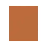 ART SPECTRUM COLOURFIX PASTELS RAW SIENNA PACKET OF 6 OF ONE COLOUR