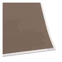 CANSON PASTEL & COLOURED DRAWING MI-TEINTES TOUCH 350GSM 10SHEETS 133 SEPIA A3
