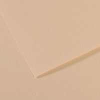Mi-Teintes 160 Sheet 50 X 65 Cm - Pkt Of 10 Eggshell 112