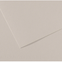 Mi-Teintes 160 Sheet 50 X 65 Cm - Pkt Of 10 Pearl Grey 120