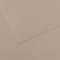 Mi-Teintes 160 Sheet 50 X 65 Cm - Pkt Of 10 Flannel Grey 122