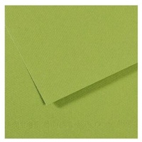 Mi-Teintes 160 Sheet 50 X 65 Cm - Pkt Of 10 Apple Green 475