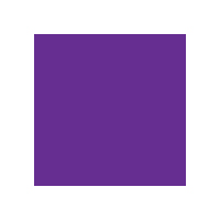 Chromakidz Washable Primary Acrylic Paint 2L Purple