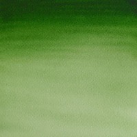 Winsor & Newton Cotman Student Quality Water Colour 8Ml Tube Hookers Green Light