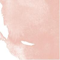 Daler Rowney Aquafine Watercolour Ink 29.5Ml Portrait Pink