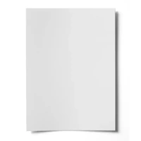 Disposable Paper Palettes A3 40 Sheets