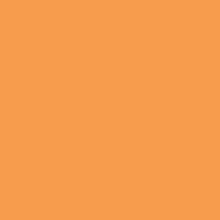 Fw Ink 29.5Ml Flame Orange