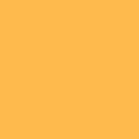 Fw Ink 29.5Ml Indian Yellow