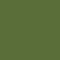 Fw Ink 29.5Ml Olive Green