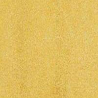 Fw Ink 29.5Ml Pearlescent Autumn Gold