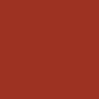 Fw Ink 29.5Ml Red Earth