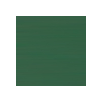 Viponds Gloss Acrylic Mural Paint Group 4 1L State Green