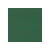 VIPONDS GLOSS ACRYLIC MURAL PAINT GROUP 4 1L STATE GREEN