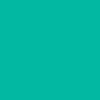 Tintex Hot Water Fabric Dye 100 Gram Jar Aqua.