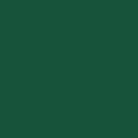 MATISSE BACKGROUND COLOUR 250ML FOREST GREEN