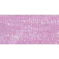MOUNT VISION PASTEL SINGLE Iridescent Pink-Purple 1006