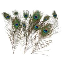 PEACOCK FEATHERS 30CM LONG 5 PER PACK