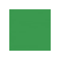 PERMAPLASTIK FLAT ACRYLIC BACKDROP PAINT GROUP 3 4L BRIGHT GREEN (EMERALD)