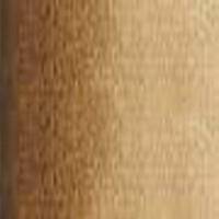 Art Prism Student Oil Colour 150Ml Tube Burnt Umber
