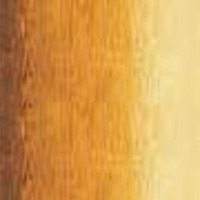 Art Prism Student Oil Colour 40Ml Tube Raw Sienna