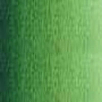 Art Prism Student Oil Colour 40Ml Tube Sap Green