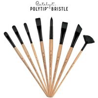 Princeton Catalyst Synthetic Brushes 