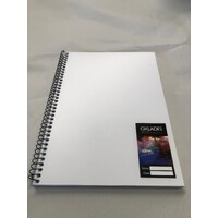 Visual Art Diary 60 Sheet 110Gsm Clear Polypropylene Cover