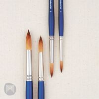 Roymac Brush Revolution Series Revolution Taklon Round #1