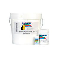SODA ASH 500GRAM JAR