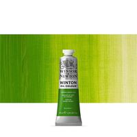 WINSOR & NEWTON WINTON OIL PAINT 37ML - CHROME GREEN HUE